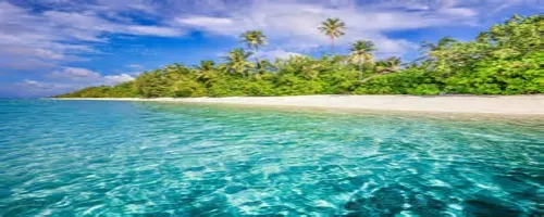 Tips For Mastering ERP Systems